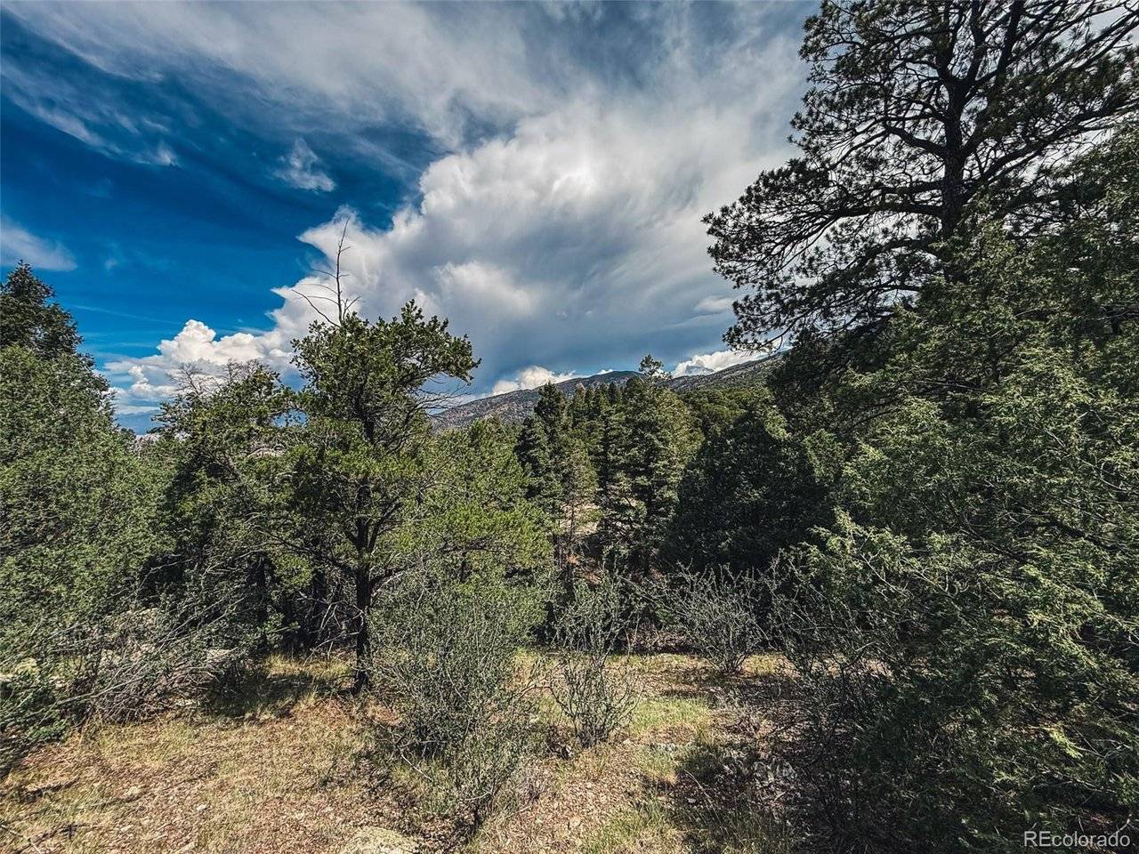401 Lake Of The Falls, Mosca, CO 81146