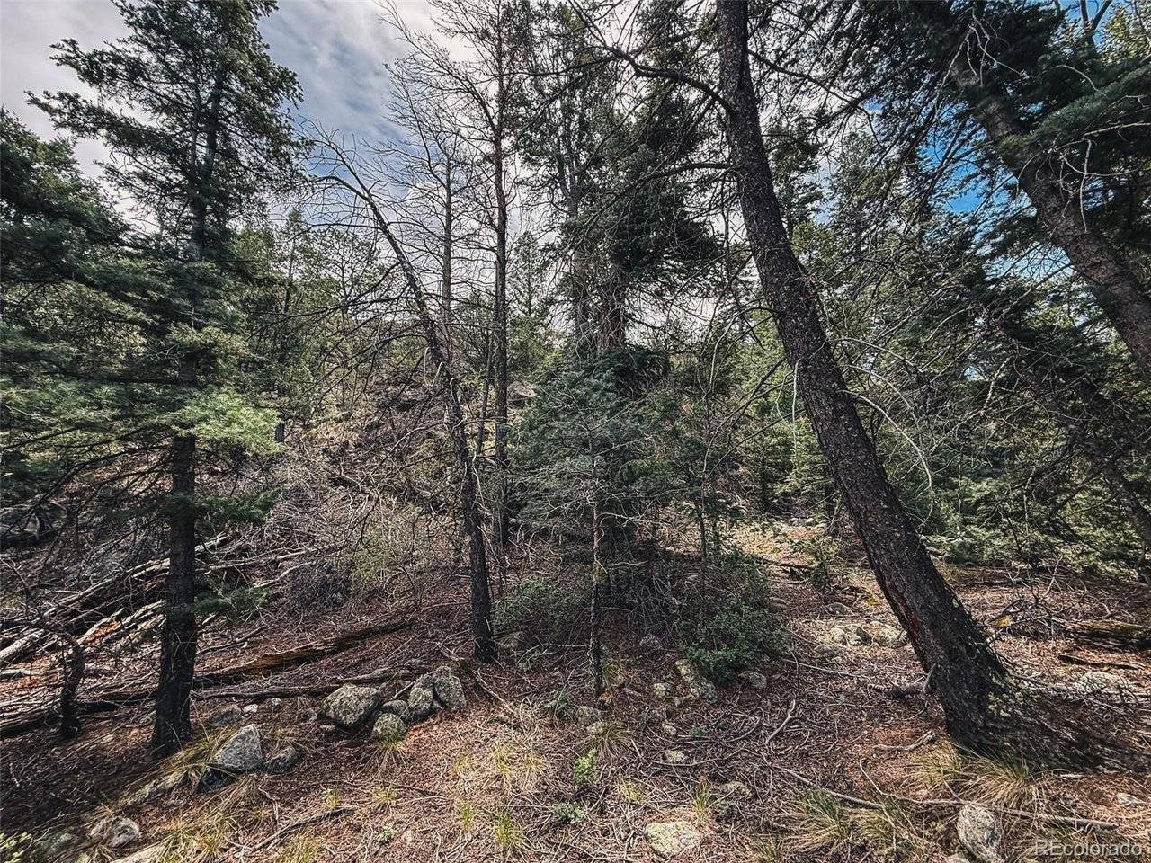 401 Lake Of The Falls, Mosca, CO 81146