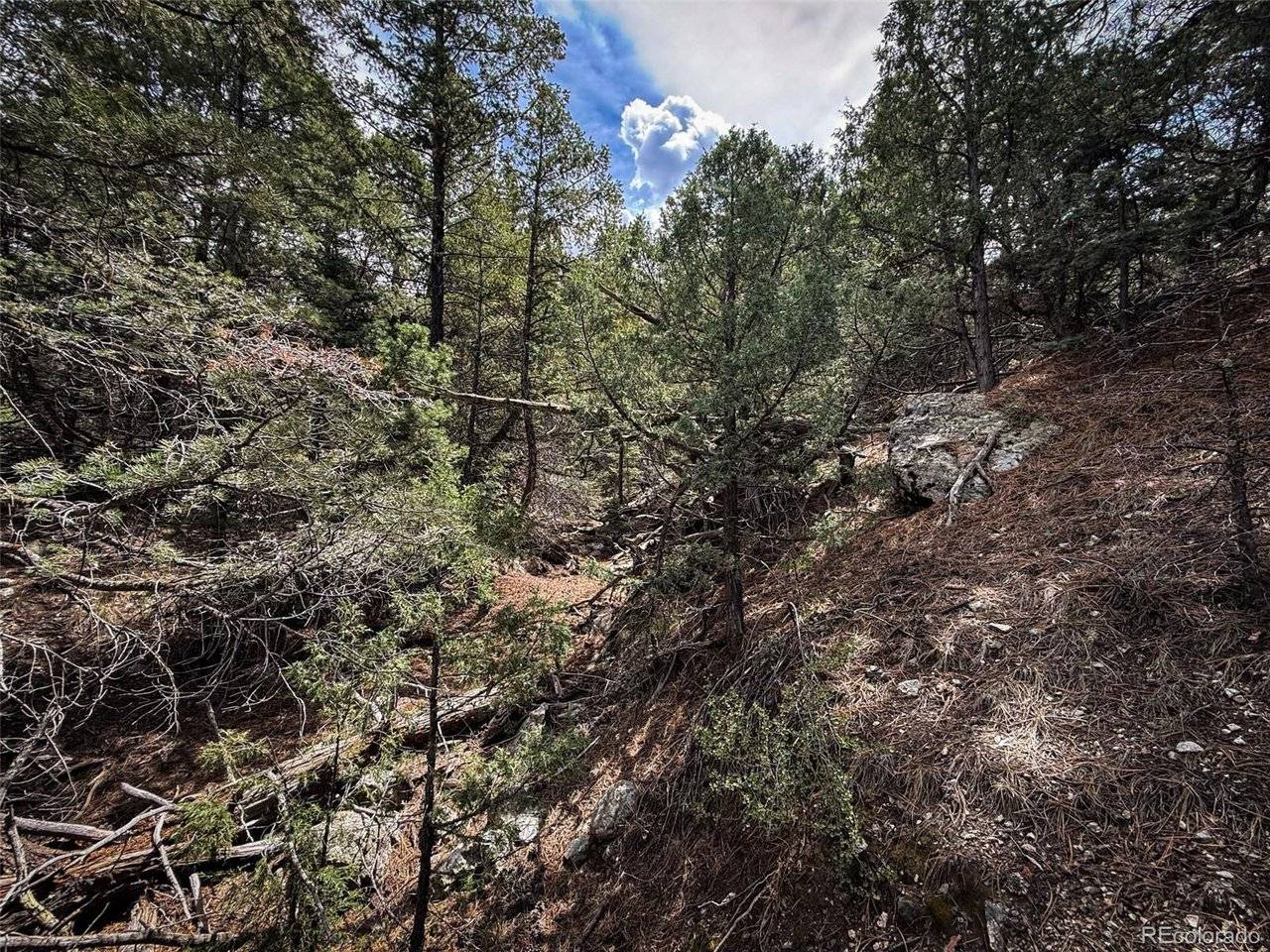 401 Lake Of The Falls, Mosca, CO 81146