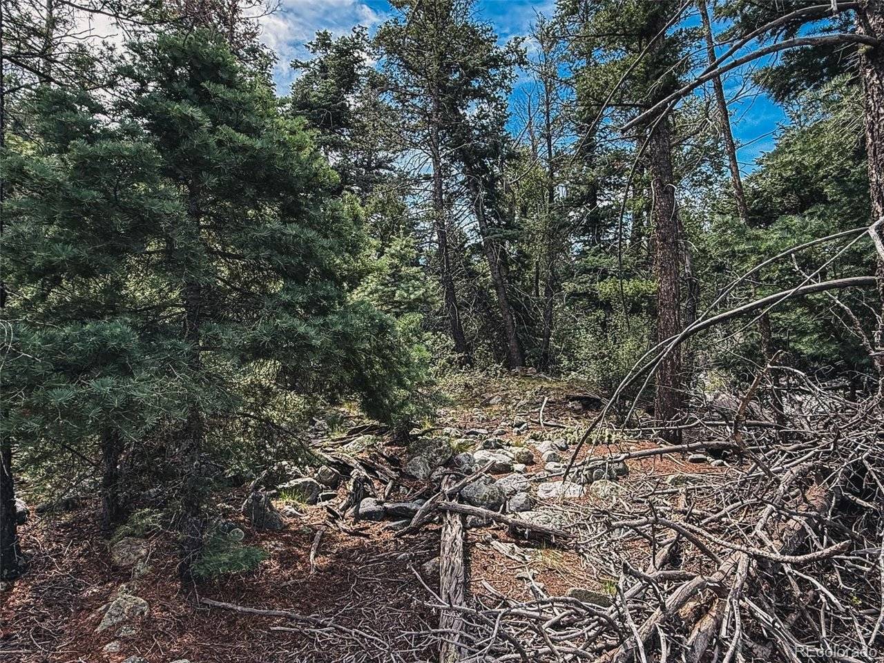 401 Lake Of The Falls, Mosca, CO 81146