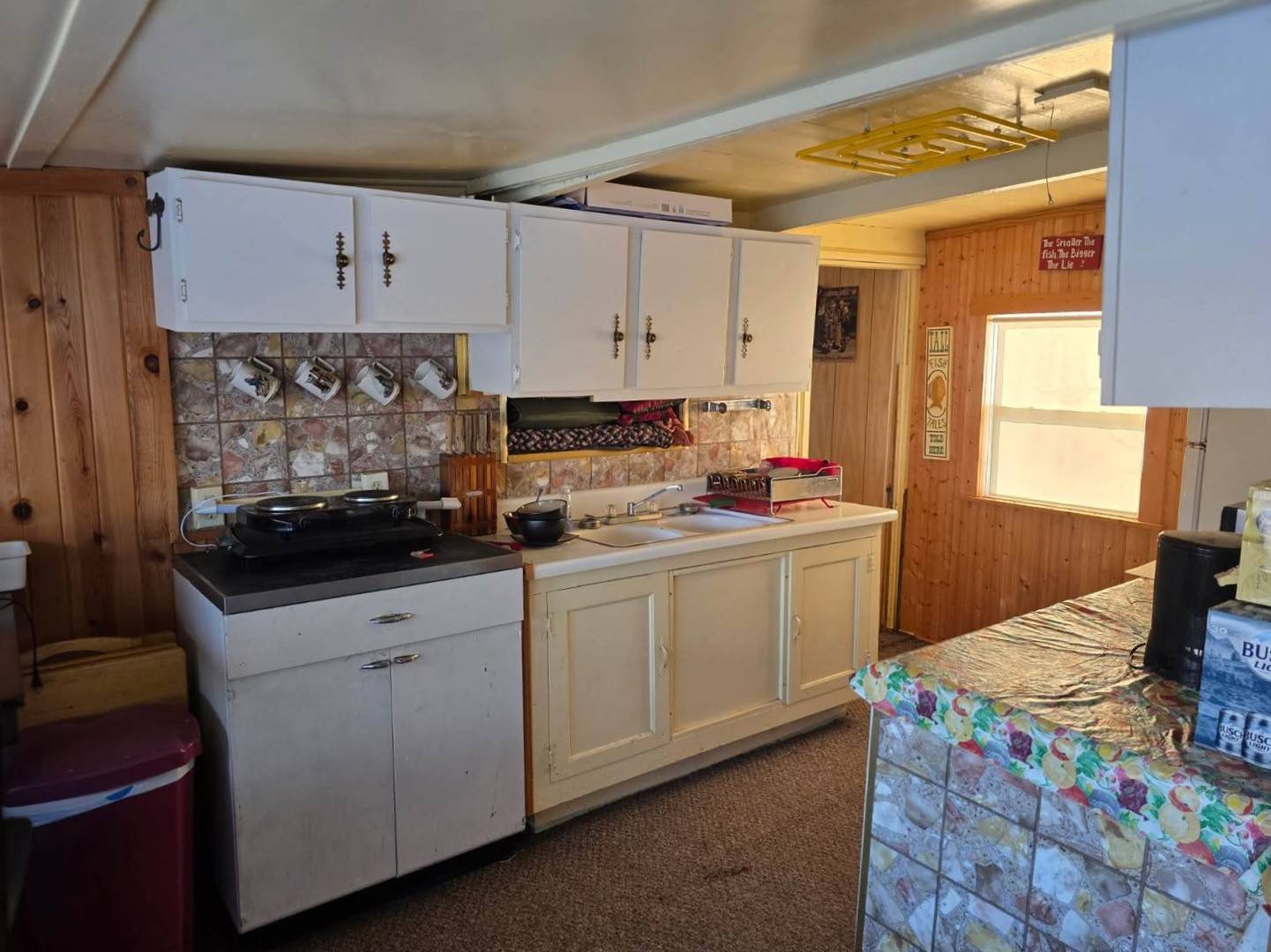 13420 Howard RD, Prophetstown, IL 61277
