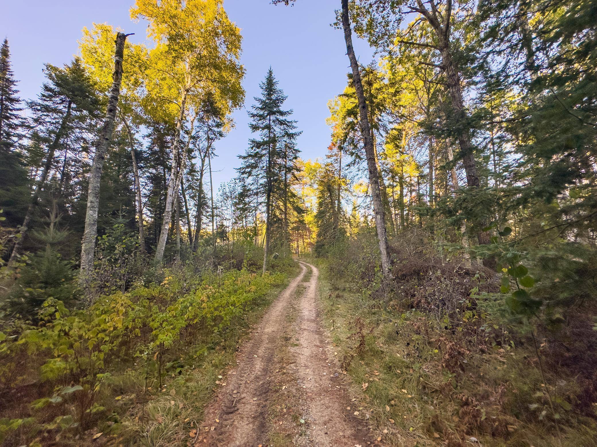 13895 Gazelle TRL, Park Rapids, MN 56470
