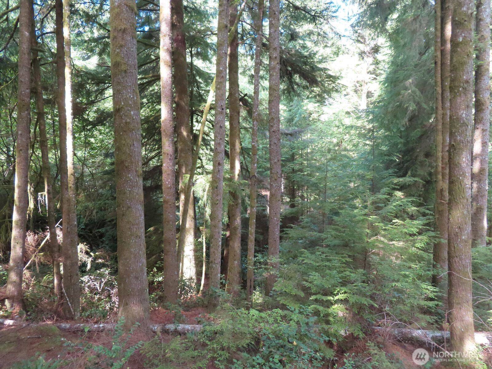 0 XXX State Route 101, South Bend, WA 98586