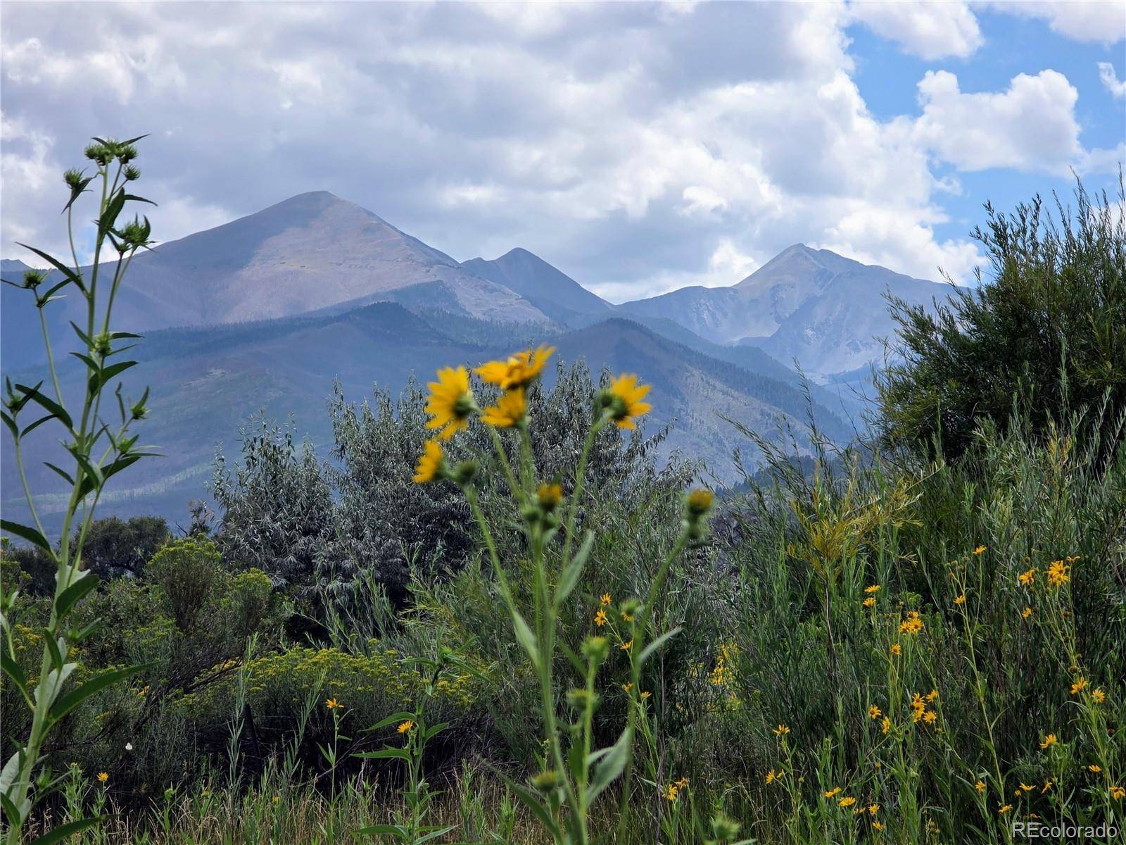 000 County Road 6, Coaldale, CO 81222