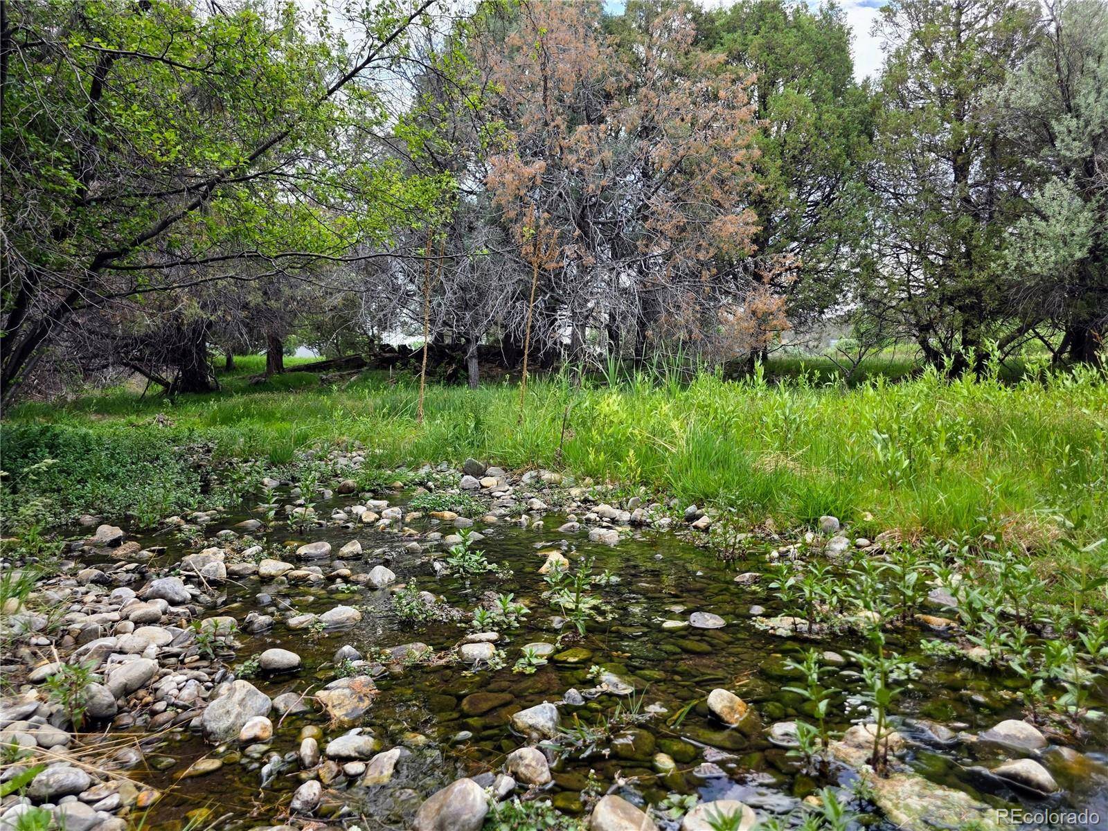 000 County Road 6, Coaldale, CO 81222