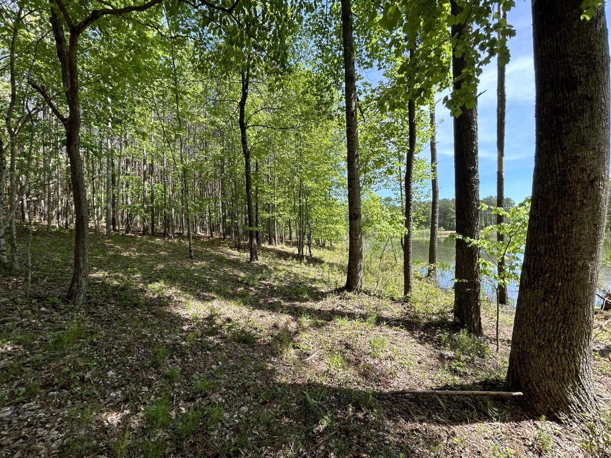 290 Bear Trace Drive, Jasper, TN 37347