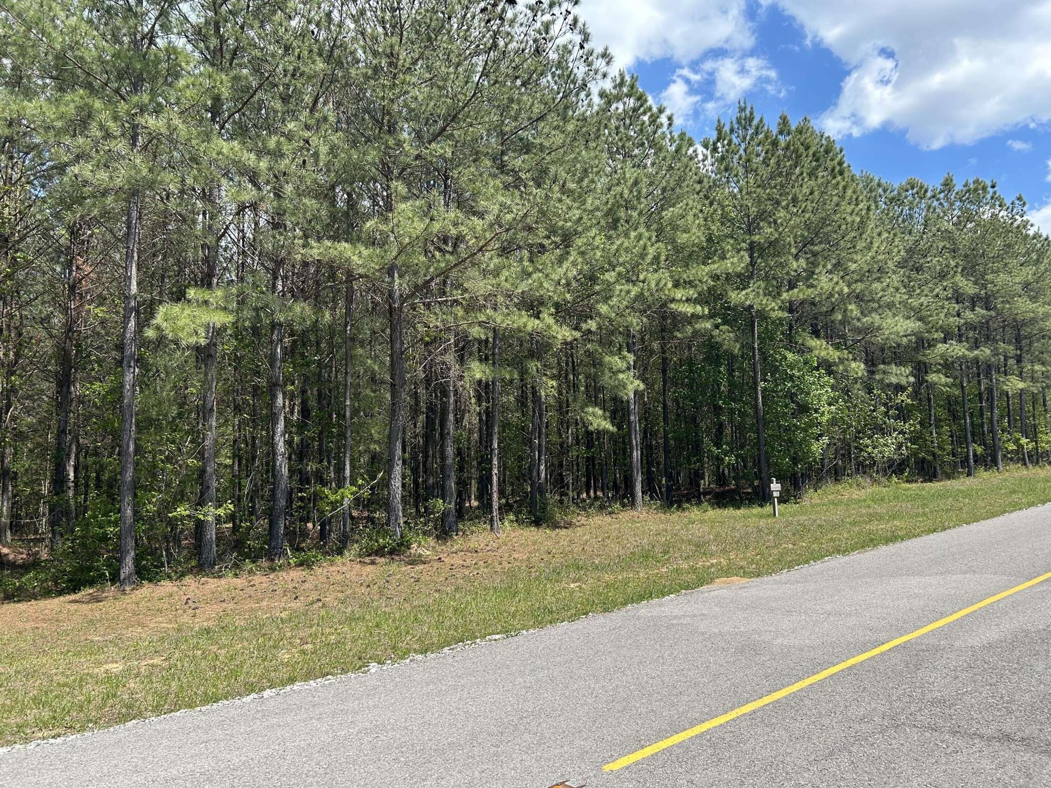 290 Bear Trace Drive, Jasper, TN 37347