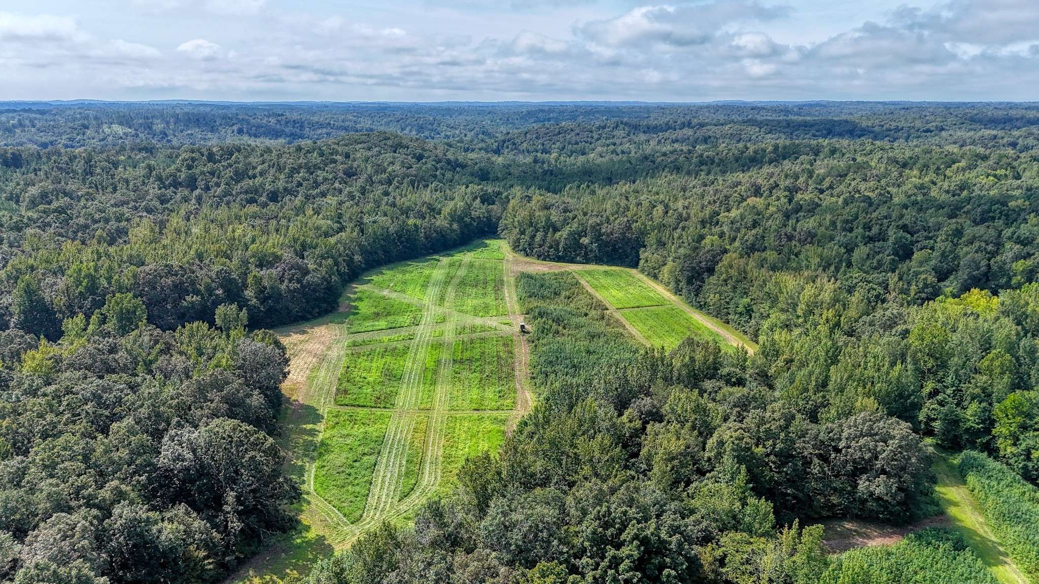5650 Sulphur Creek Rd, Big Sandy, TN 38221