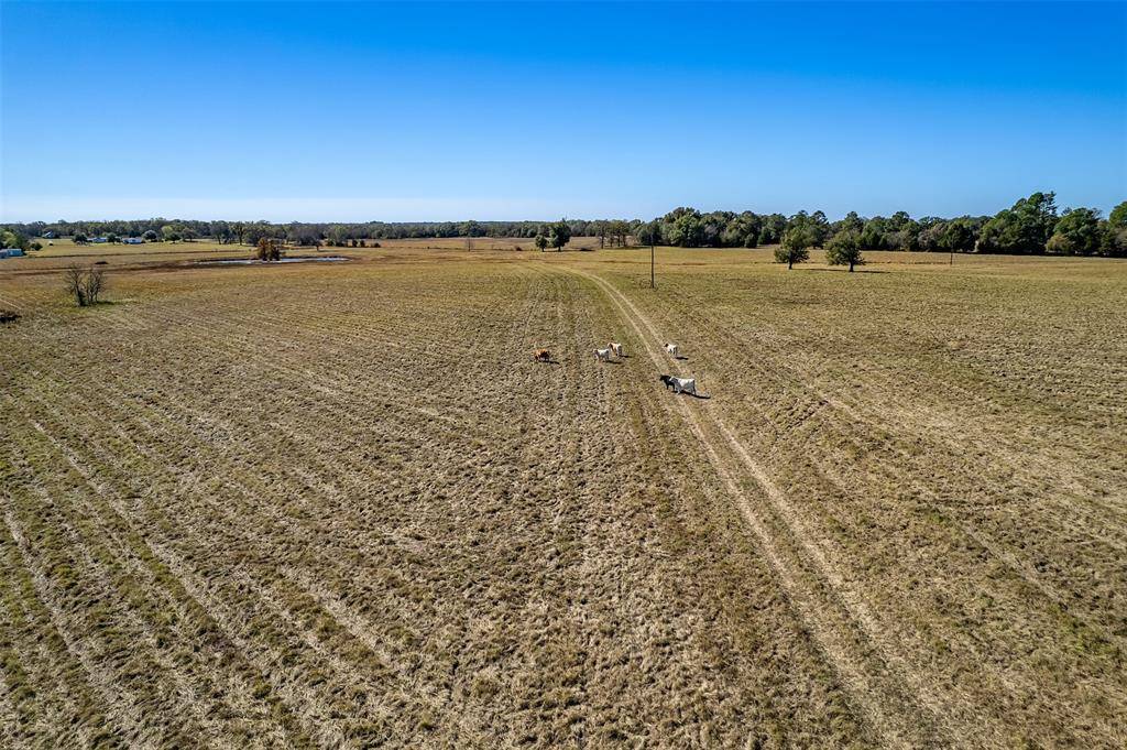 000 FM 1504, Wills Point, TX 75169