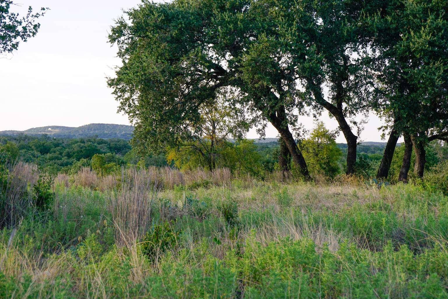 5434 County Road 335, Burnet, TX 78611
