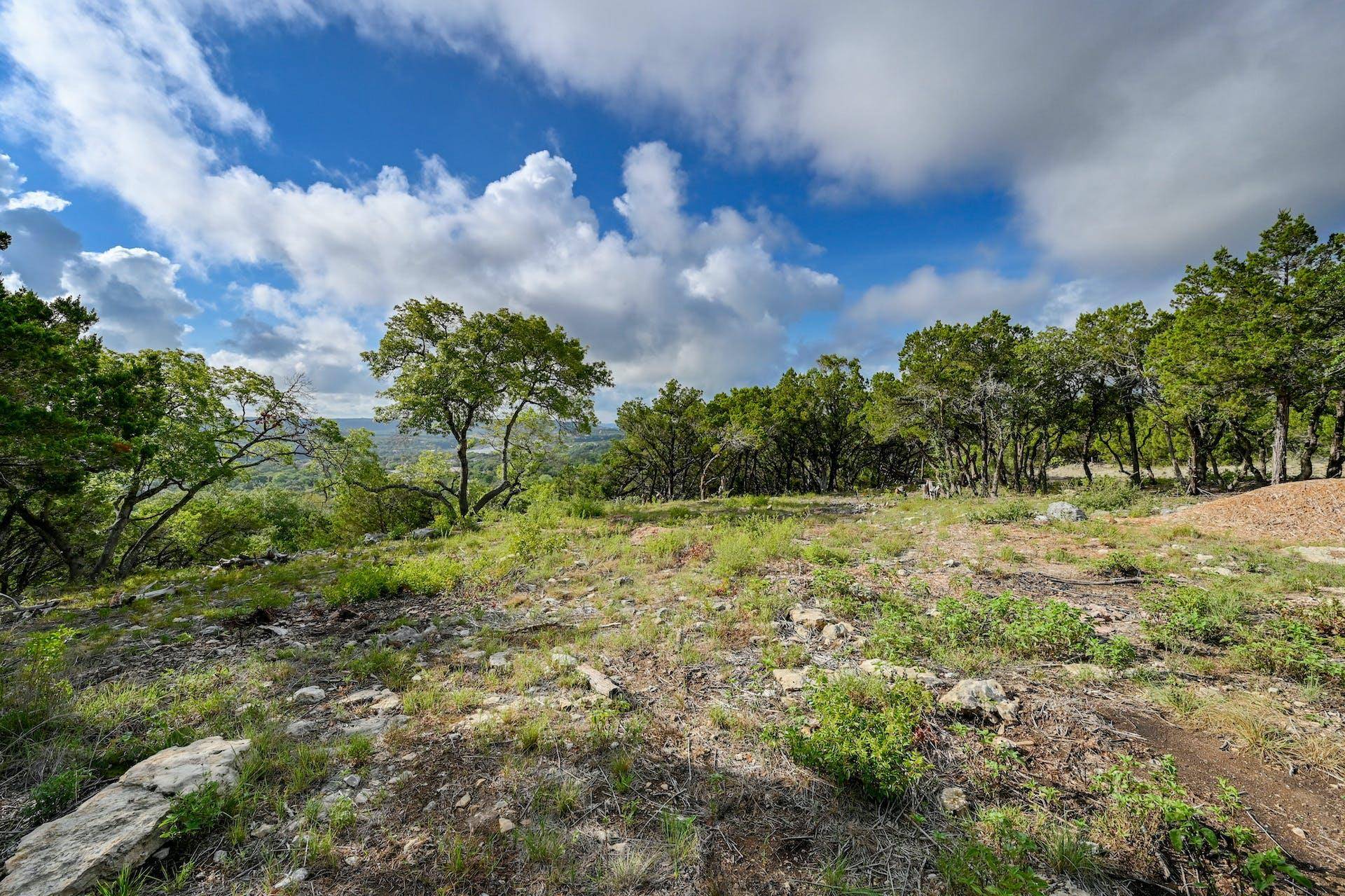 10909 Turkey Bend DR, Jonestown, TX 78645