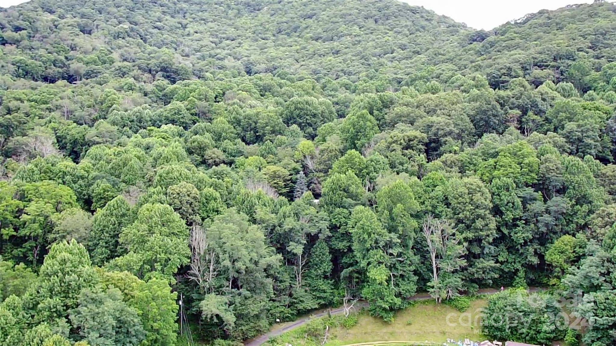TBD Friendly Acres DR, Waynesville, NC 28786