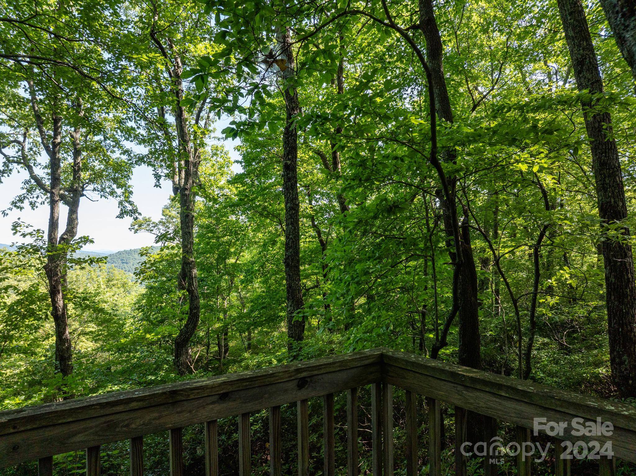 Lot 25 Panther Mountain RD #CVN-CVN-025, Zirconia, NC 28790