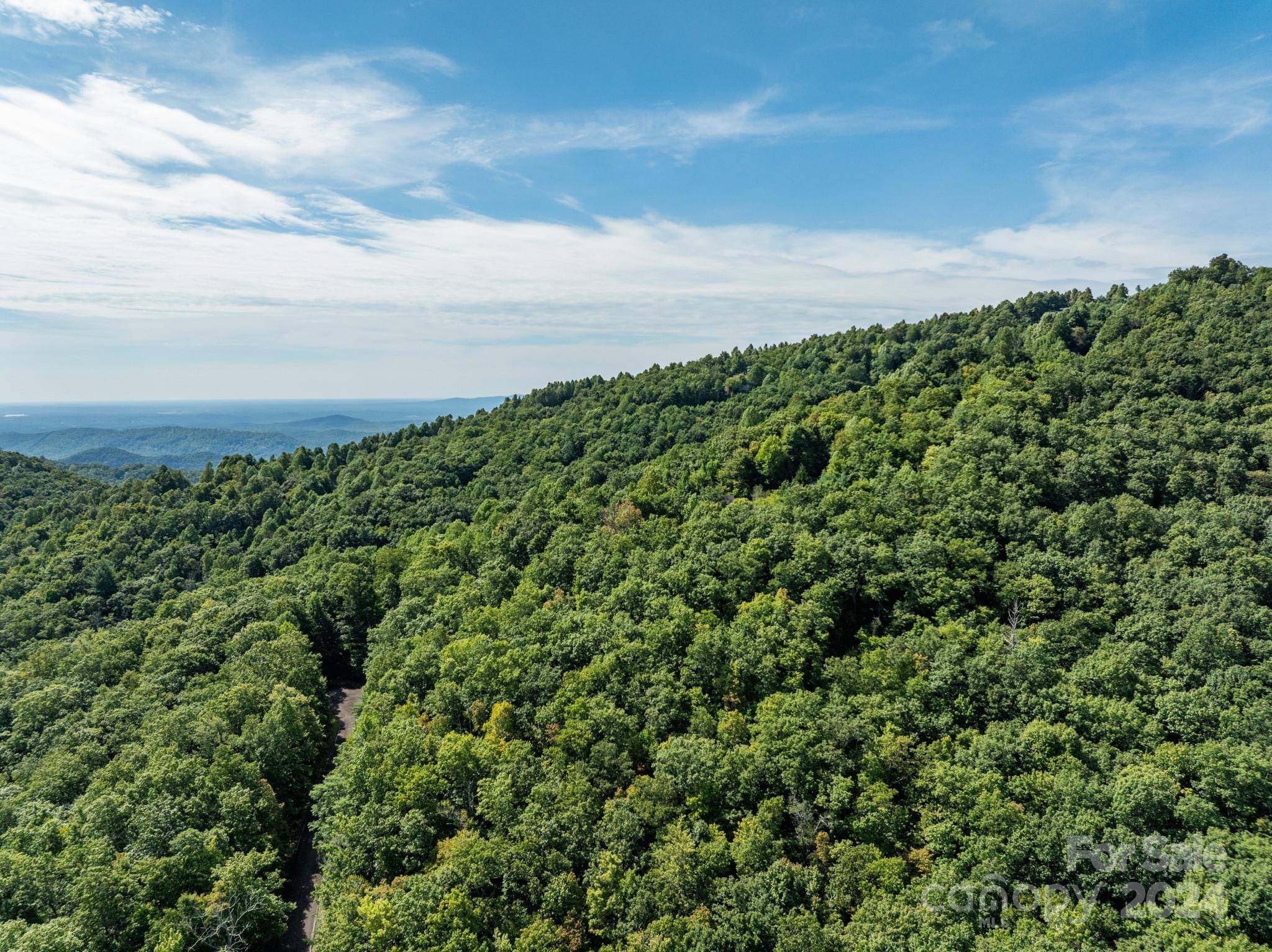 Lot 25 Panther Mountain RD #CVN-CVN-025, Zirconia, NC 28790