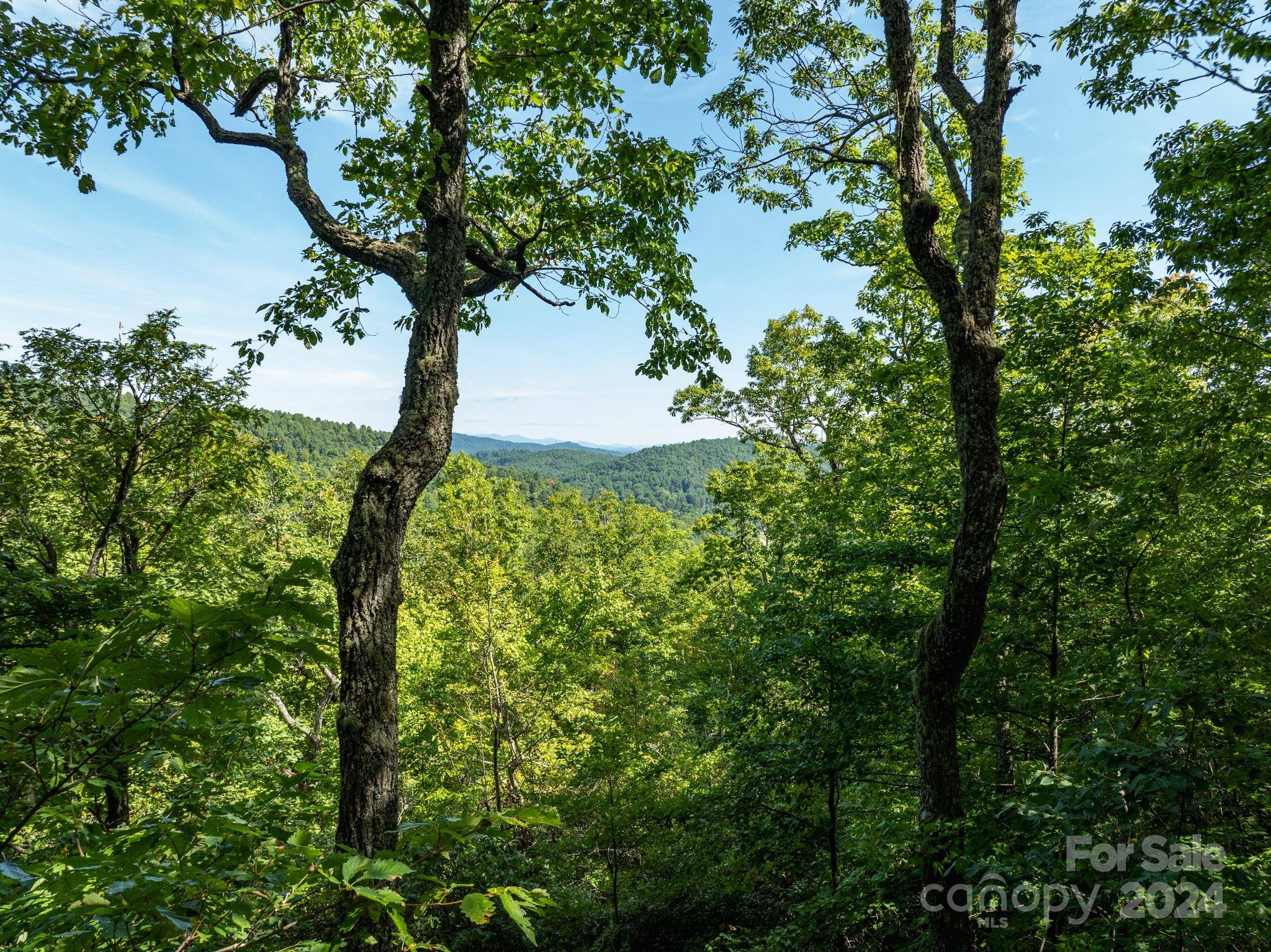 Lot 25 Panther Mountain RD #CVN-CVN-025, Zirconia, NC 28790