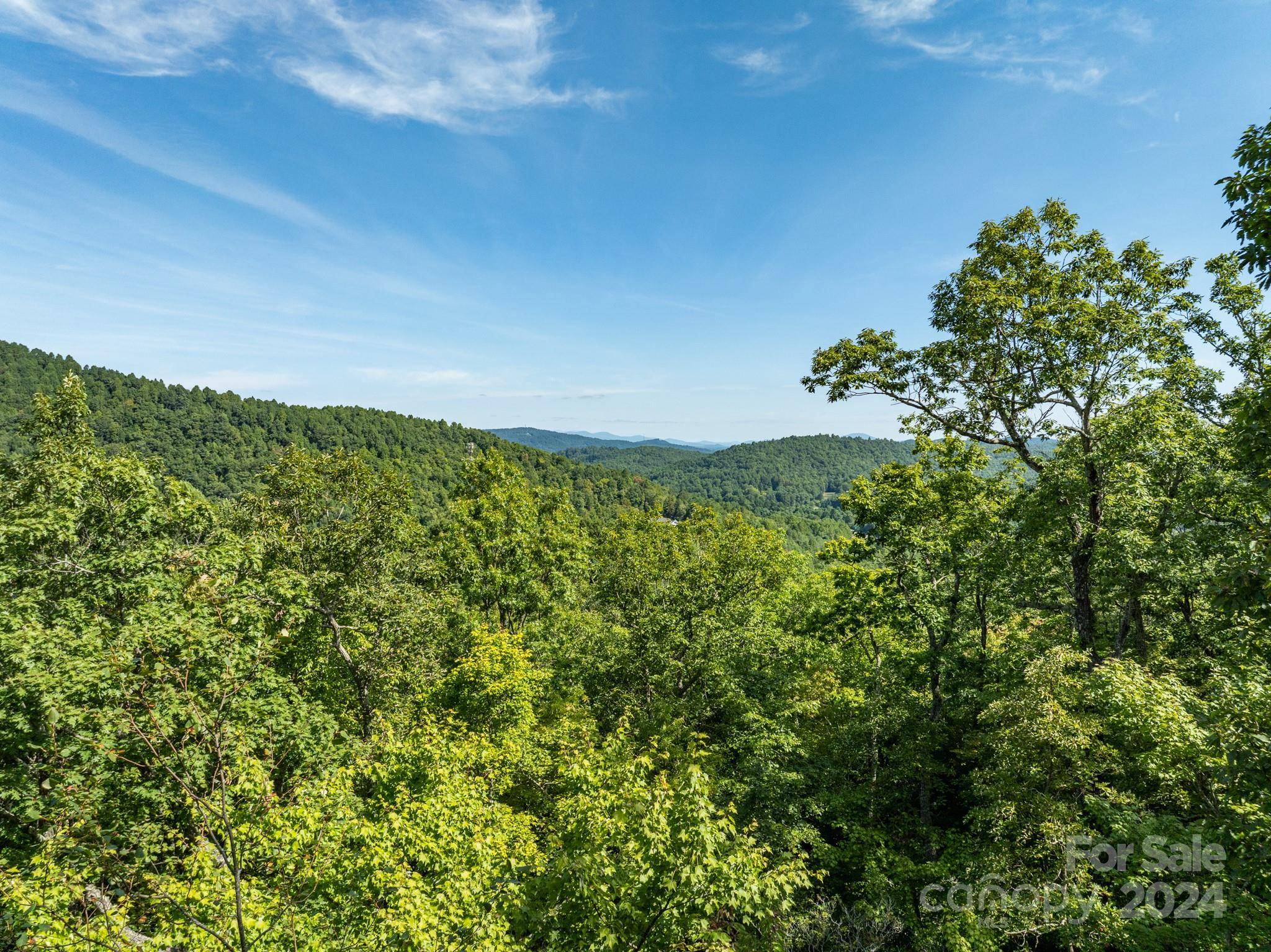 Lot 25 Panther Mountain RD #CVN-CVN-025, Zirconia, NC 28790