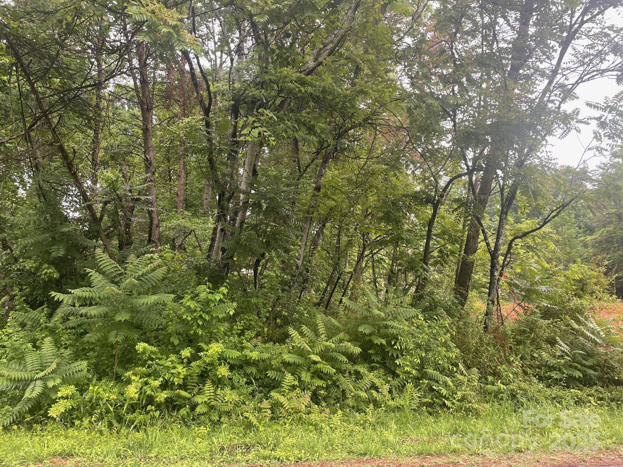 2488 Compass ST, Conover, NC 28613