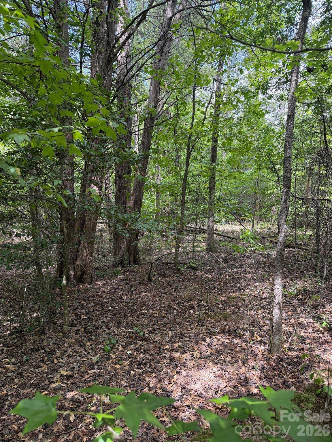 TBD Sam Walker RD, Catawba, SC 29704