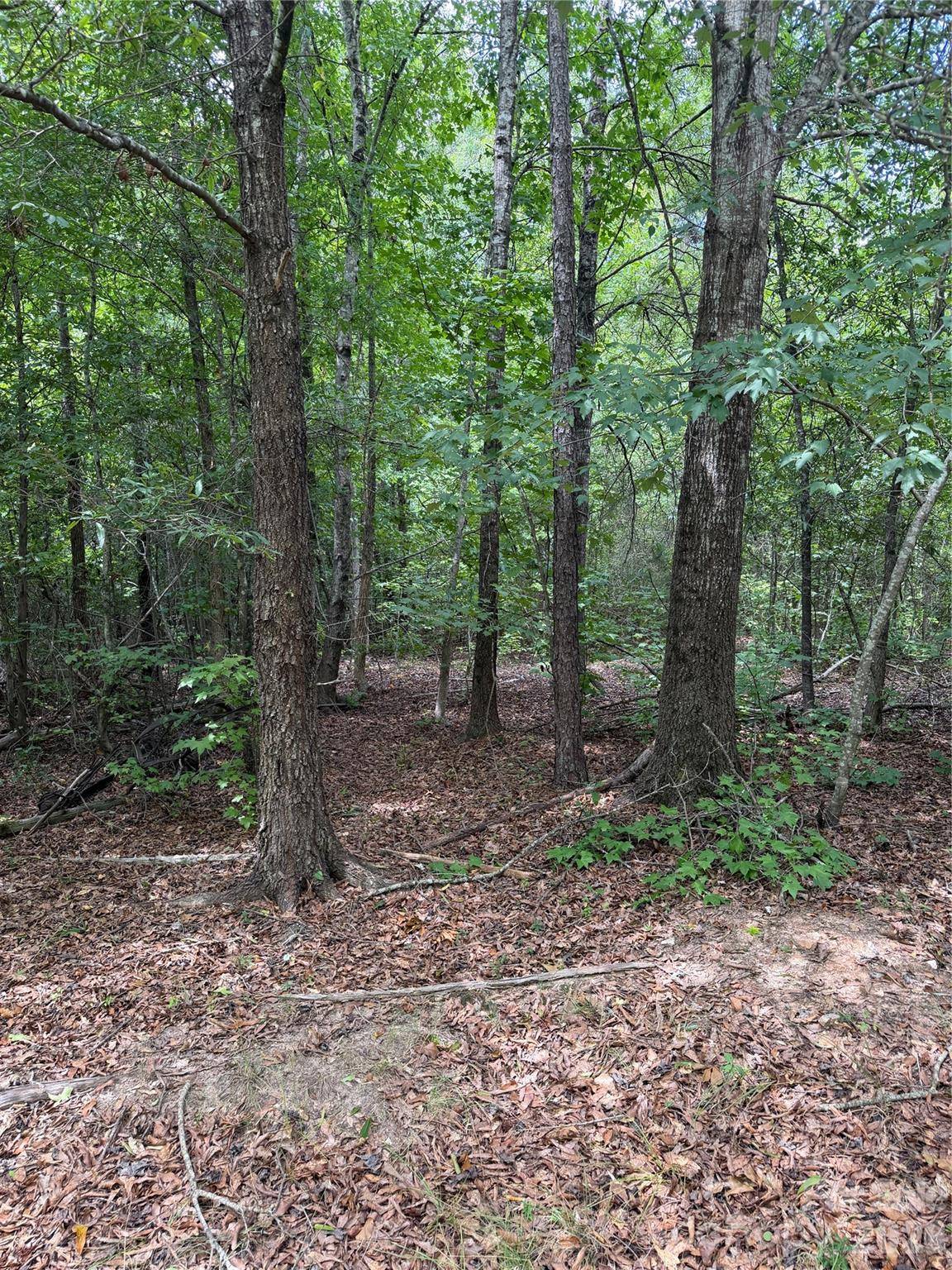 TBD Sam Walker RD, Catawba, SC 29704