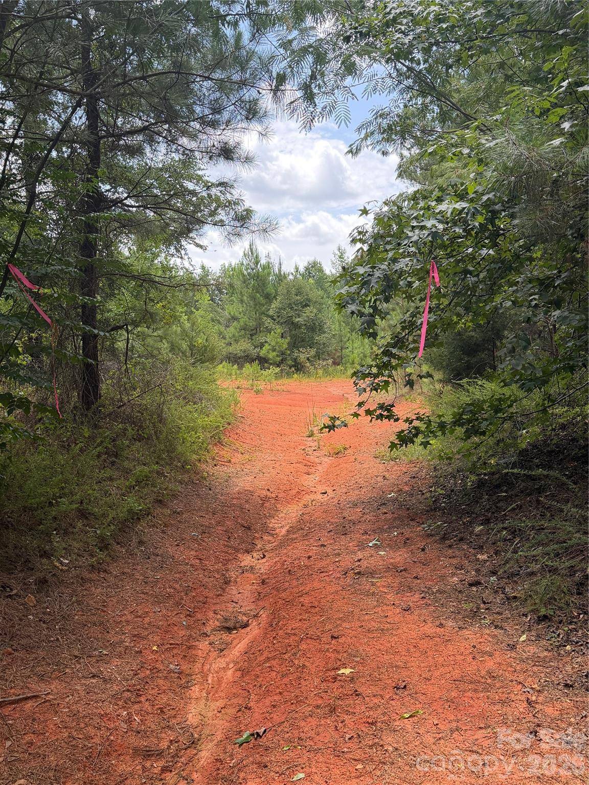 TBD Sam Walker RD, Catawba, SC 29704
