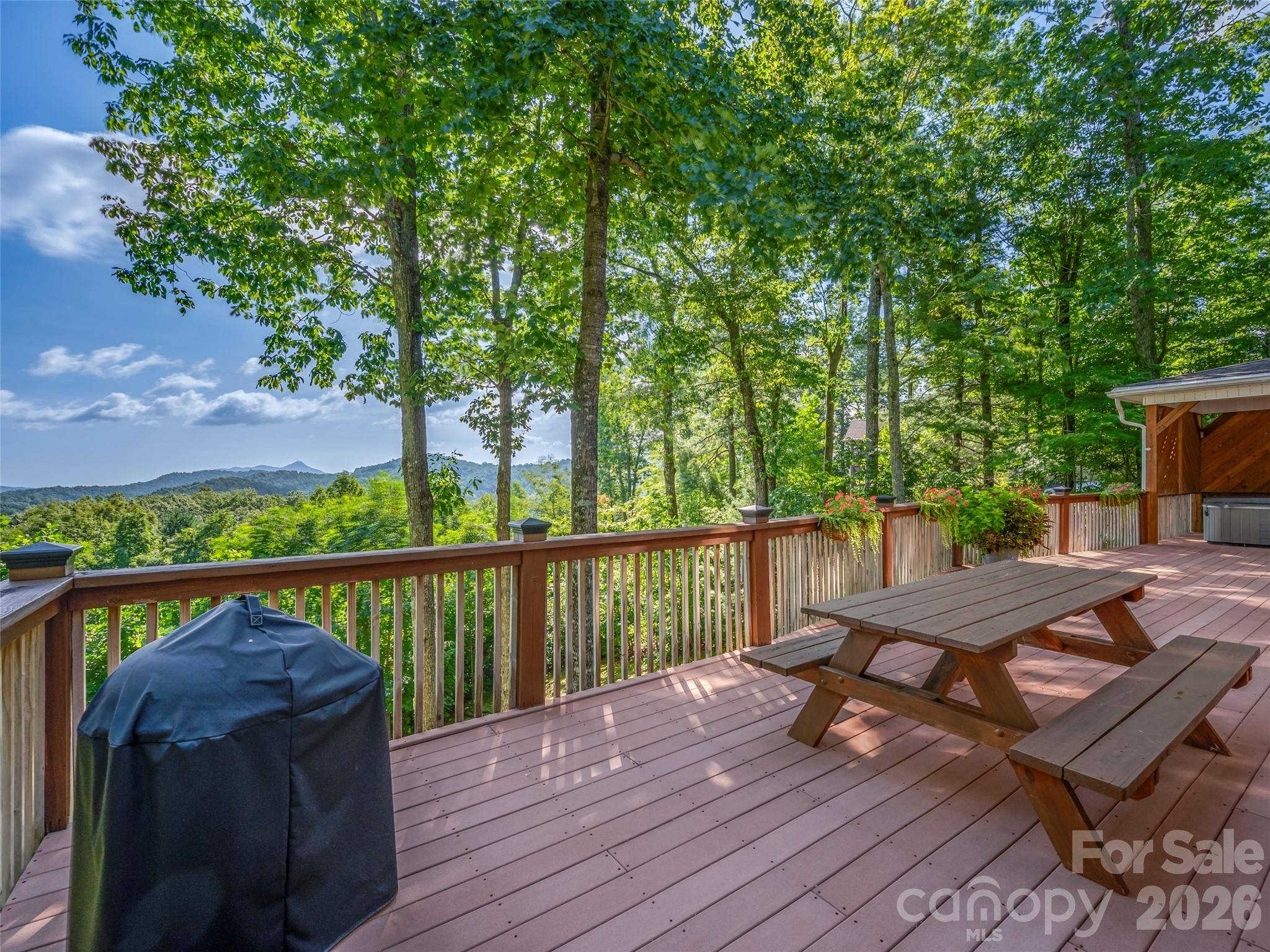 837 Big Raven LN, Saluda, NC 28773