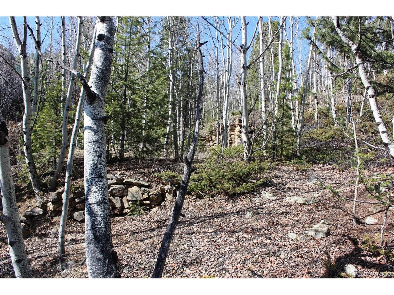 0 Spruce, Central City, CO 80427