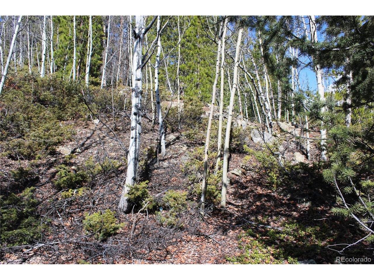 0 Spruce, Central City, CO 80427