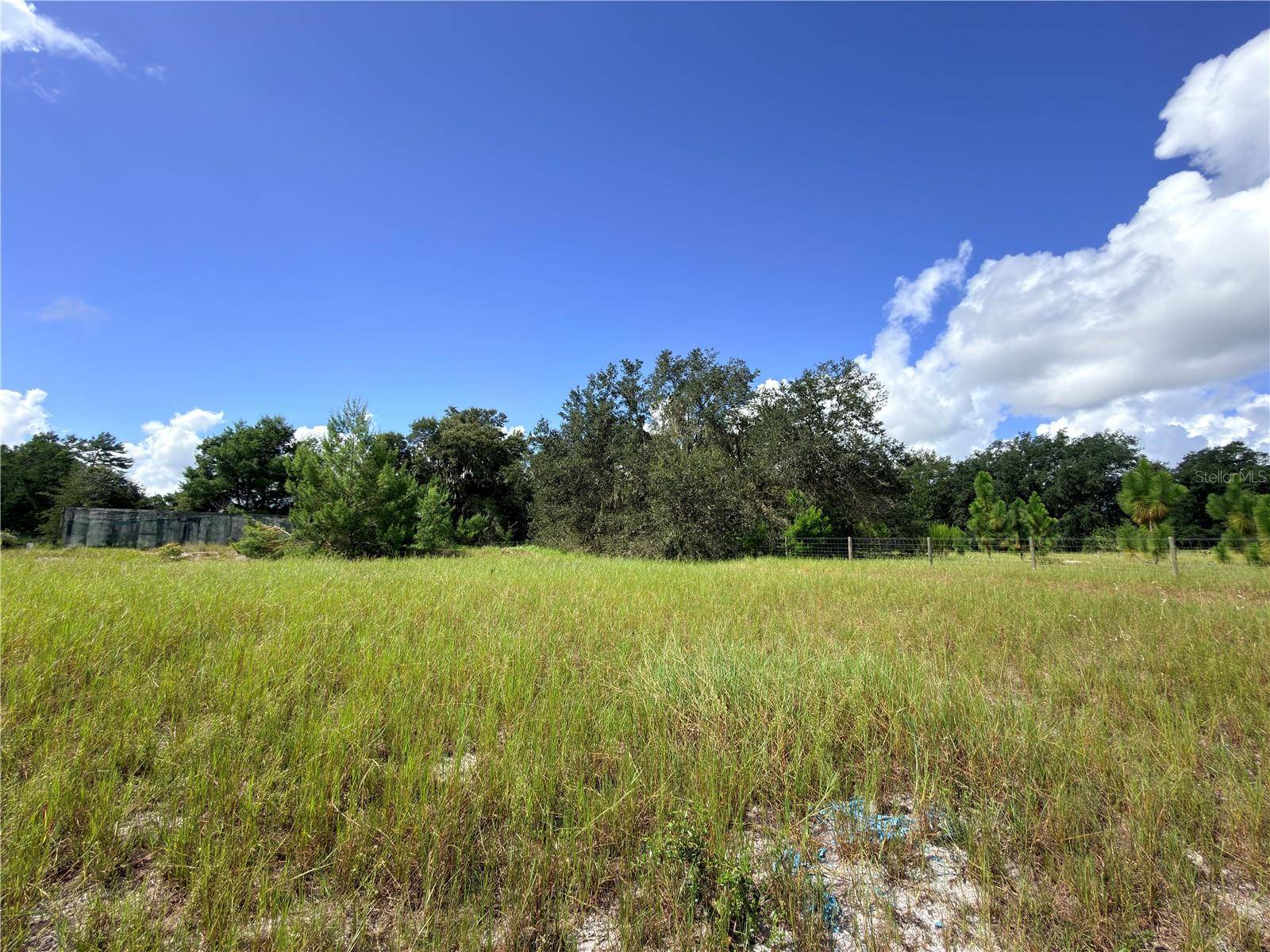 41938 PINE VALLEY DR, Paisley, FL 32767