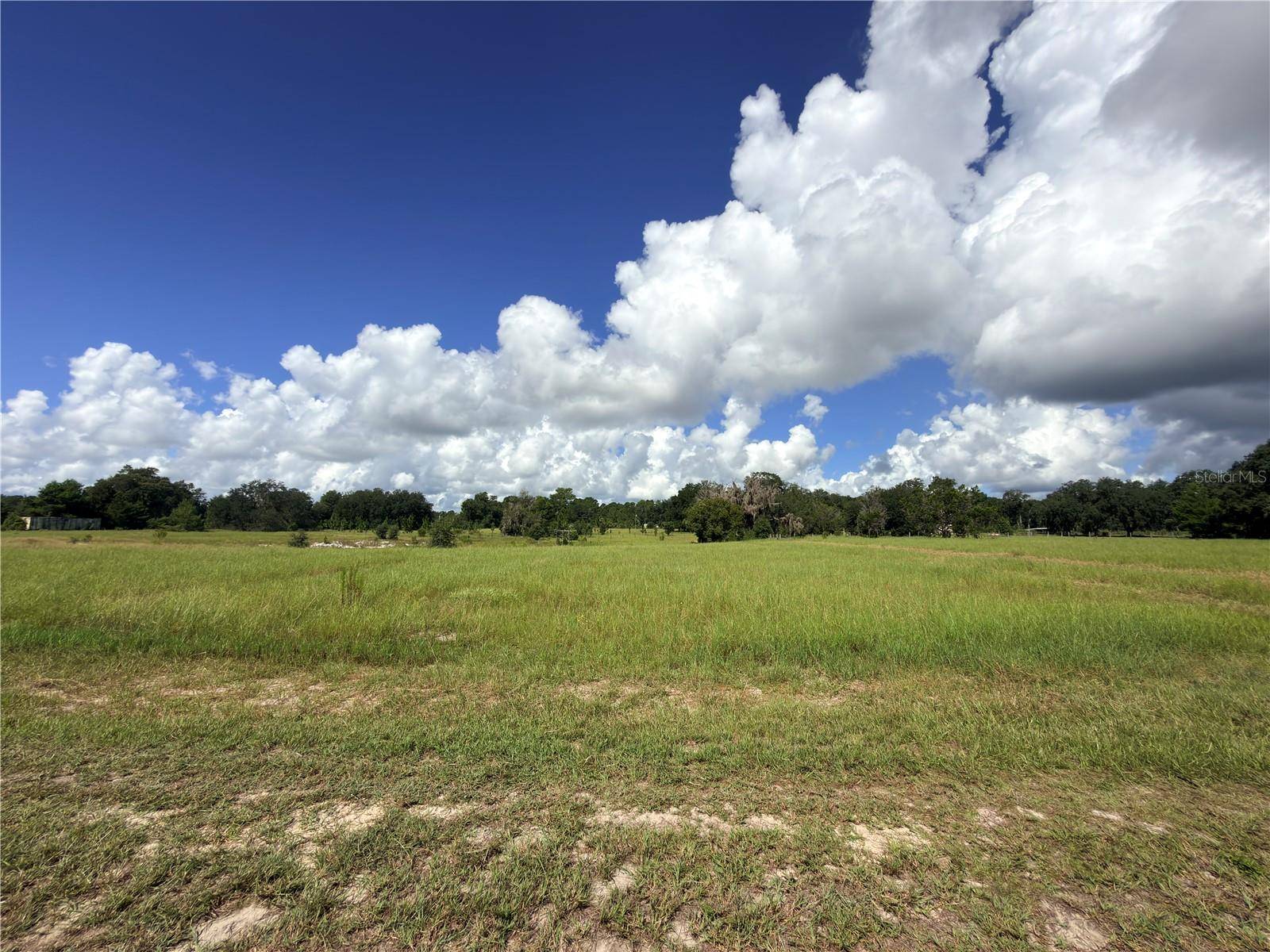 41938 PINE VALLEY DR, Paisley, FL 32767
