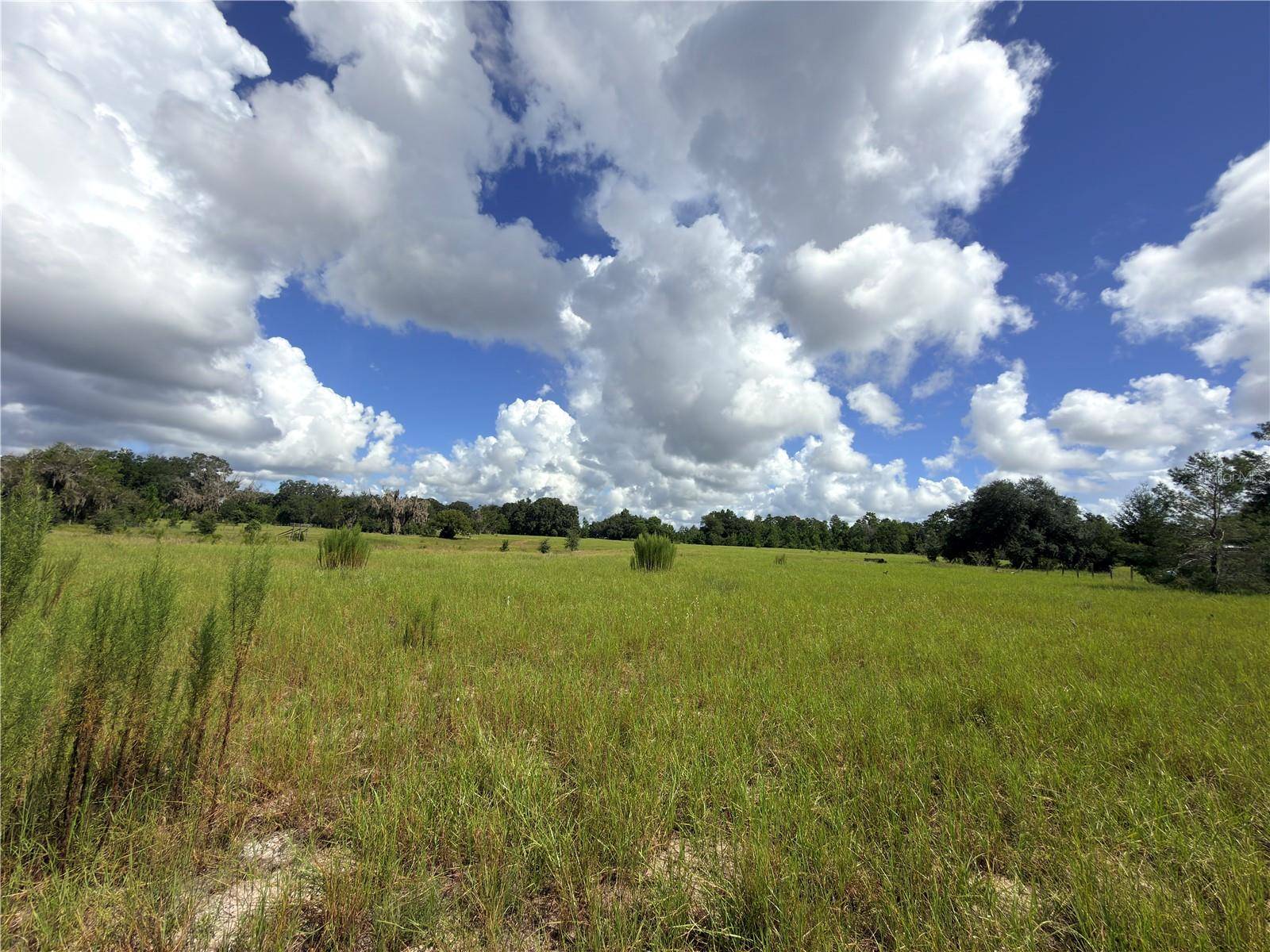 41938 PINE VALLEY DR, Paisley, FL 32767