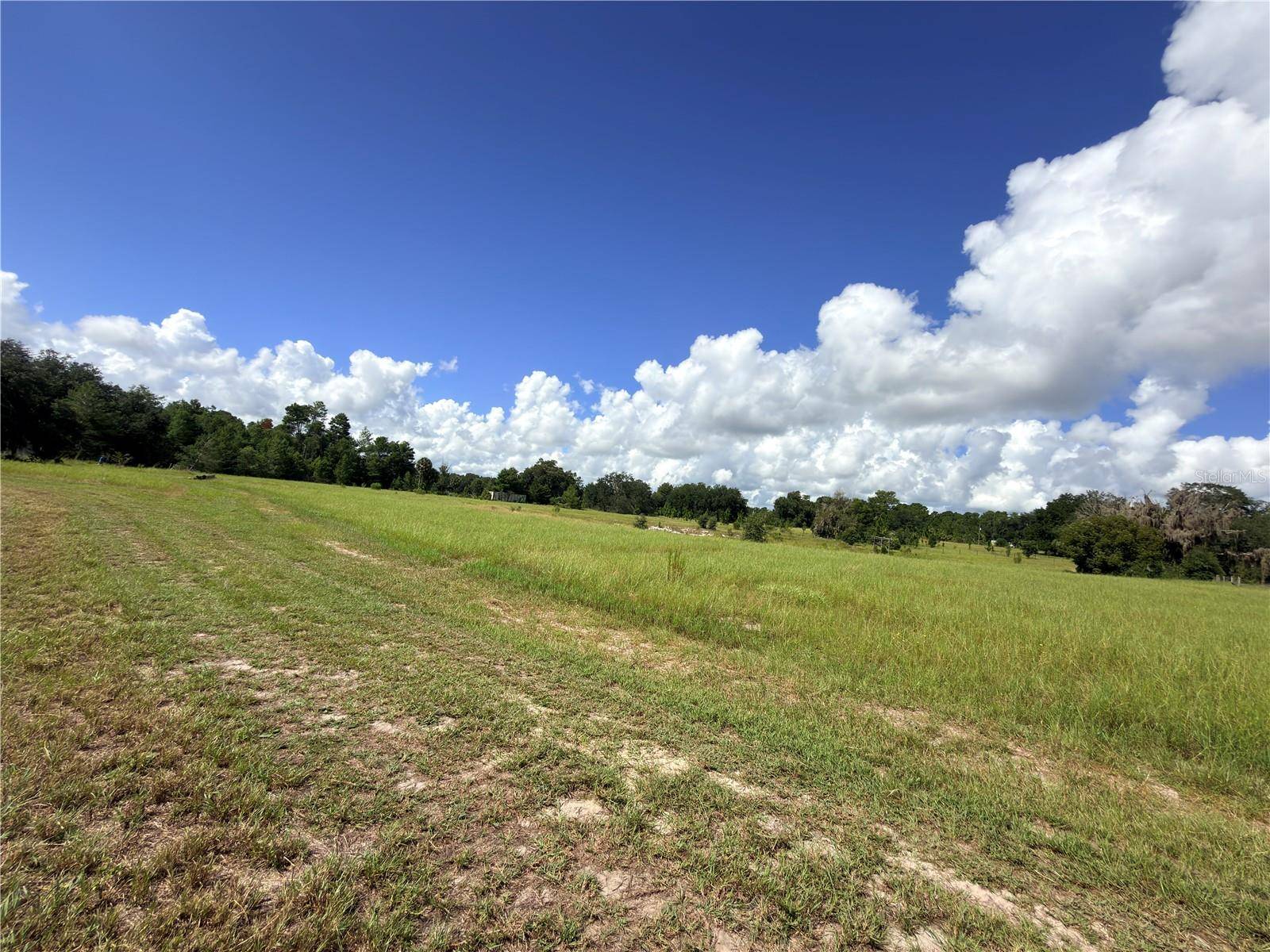 41938 PINE VALLEY DR, Paisley, FL 32767