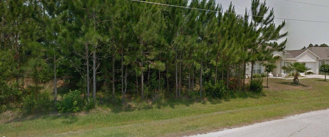 MARTIGUES DR, Kissimmee, FL 34759