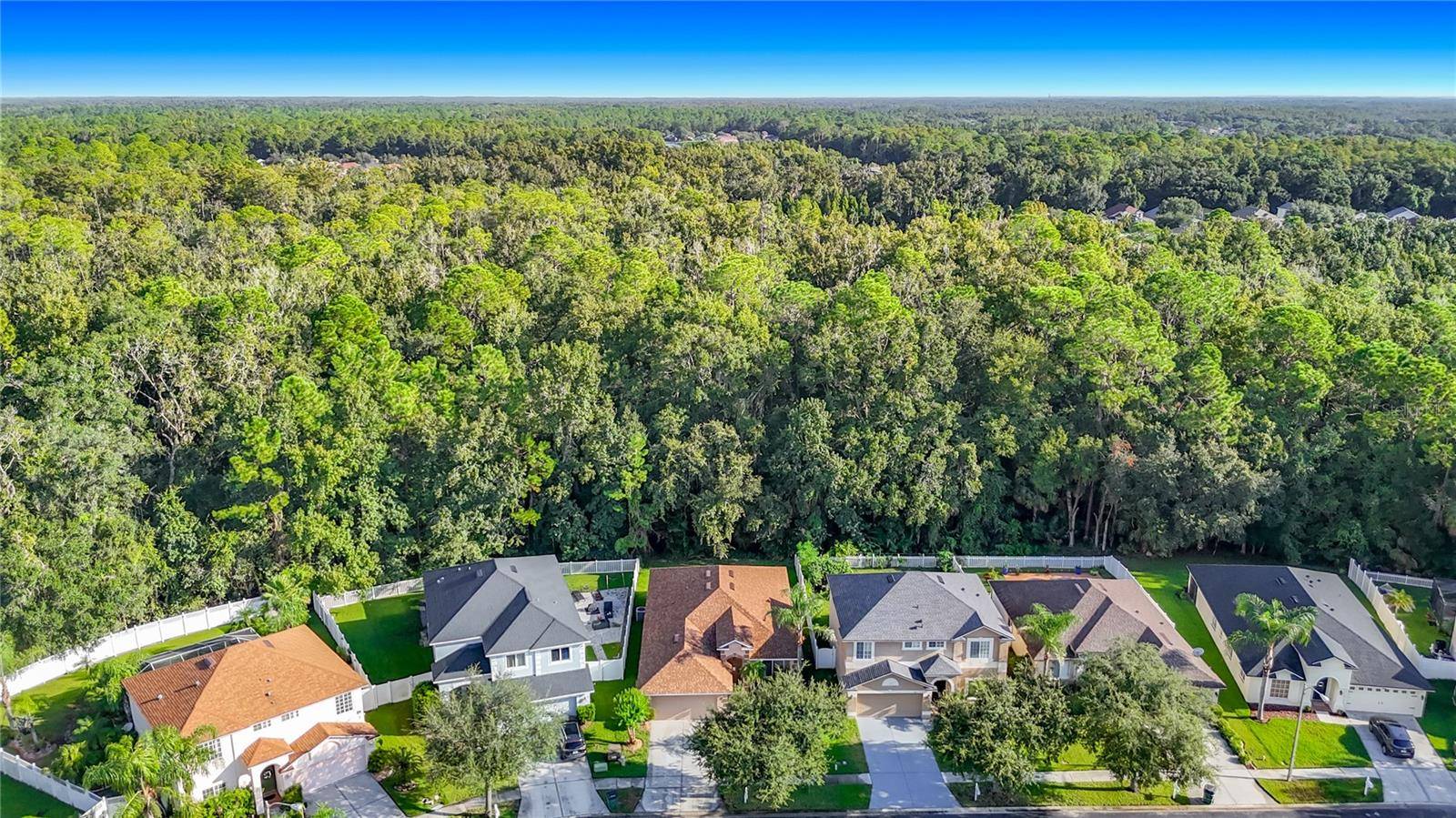 4751 BARCHETTA, Land O Lakes, FL 34639