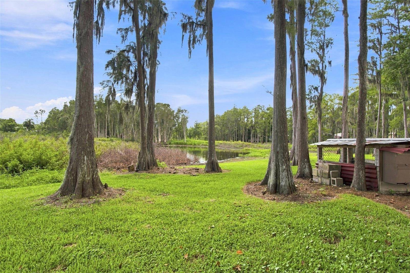 210 LAKE HOBBS RD, Lutz, FL 33548