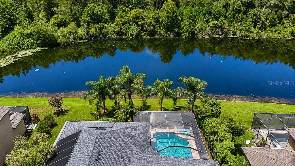 1637 ABYSS DR, Odessa, FL 33556