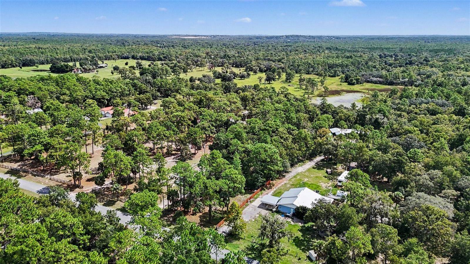 1393 S CANDLENUT AVE, Homosassa, FL 34448