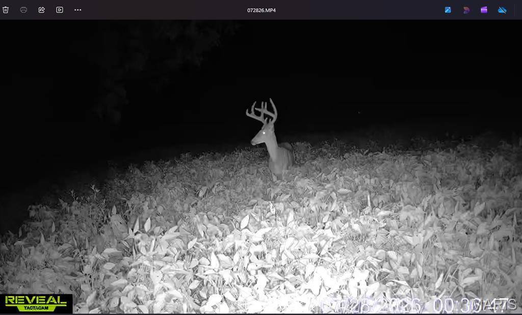 920 S Poplar Camp RD, Makanda, IL 62958
