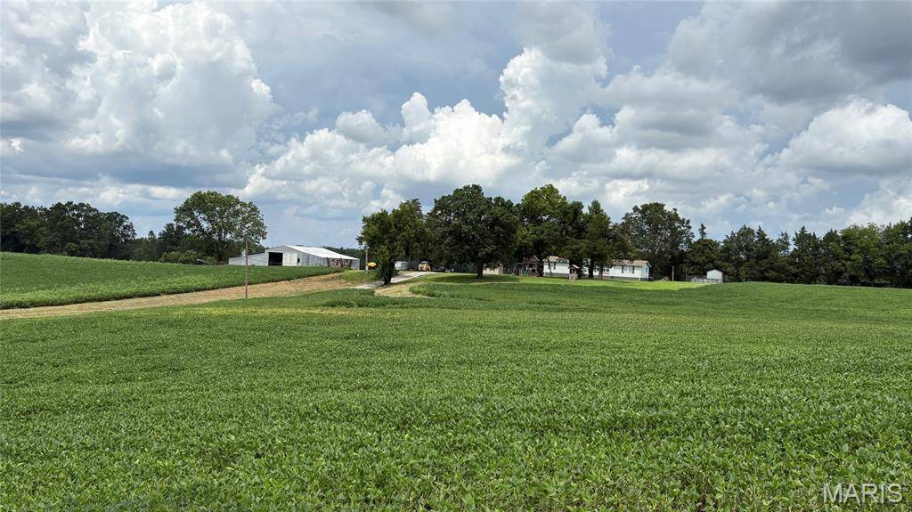 920 S Poplar Camp RD, Makanda, IL 62958