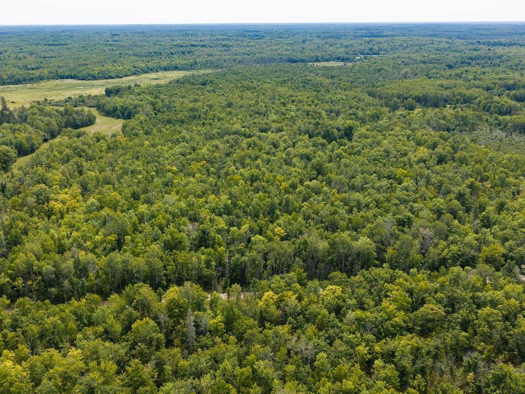 TBD 150th, Mcgrath, MN 56350