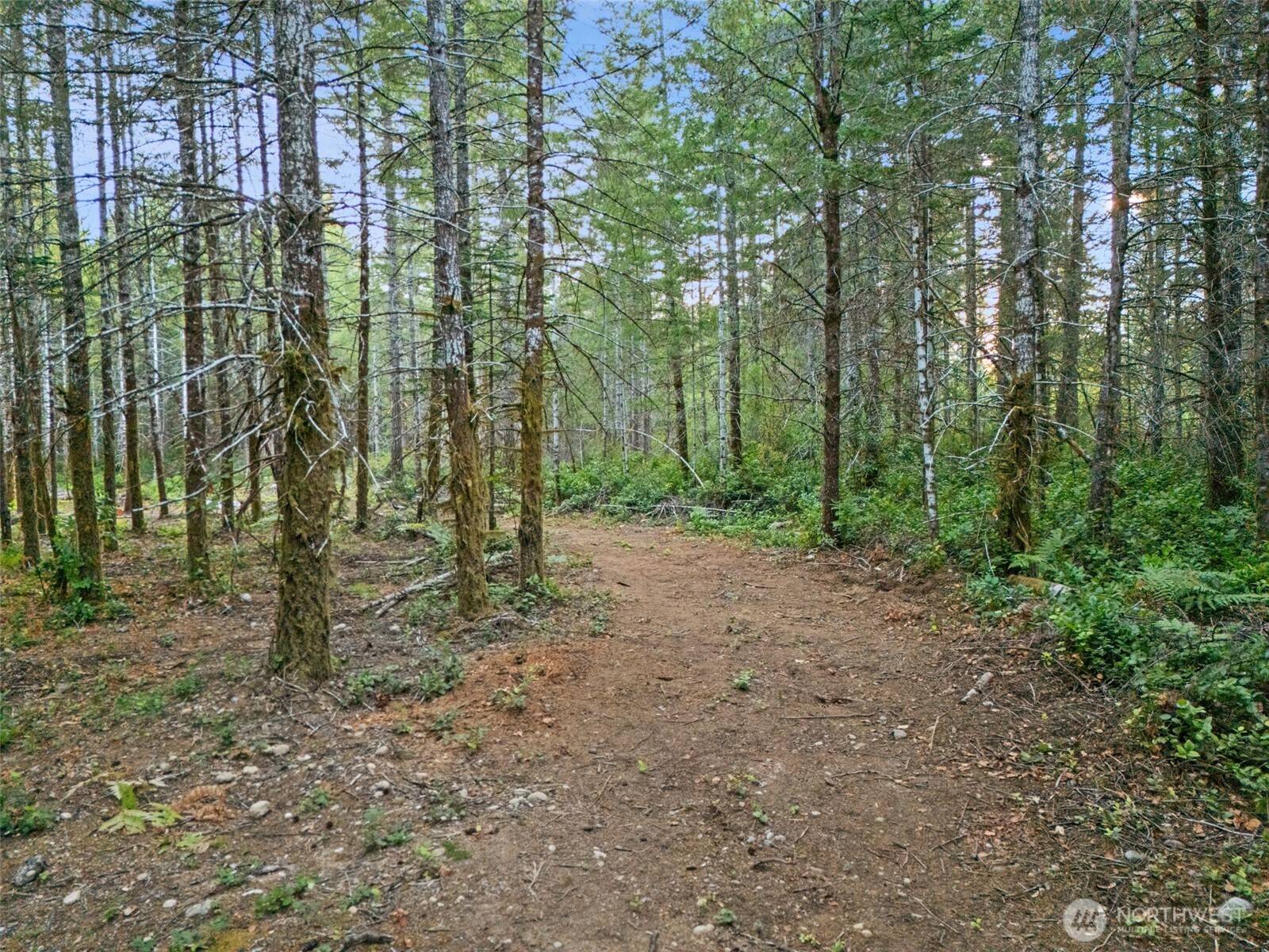 131 E Webb Hill RD, Union, WA 98592