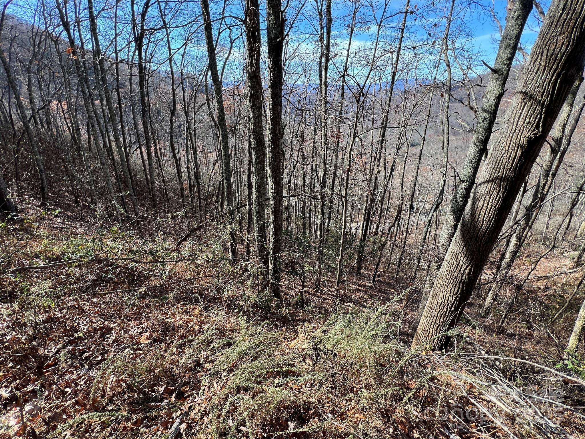 Lot 8 Falls View DR, Bryson City, NC 28713