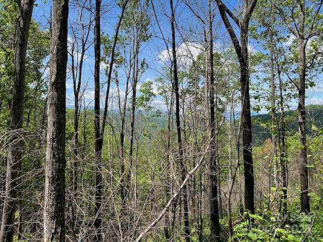 Lot 8 Falls View DR, Bryson City, NC 28713