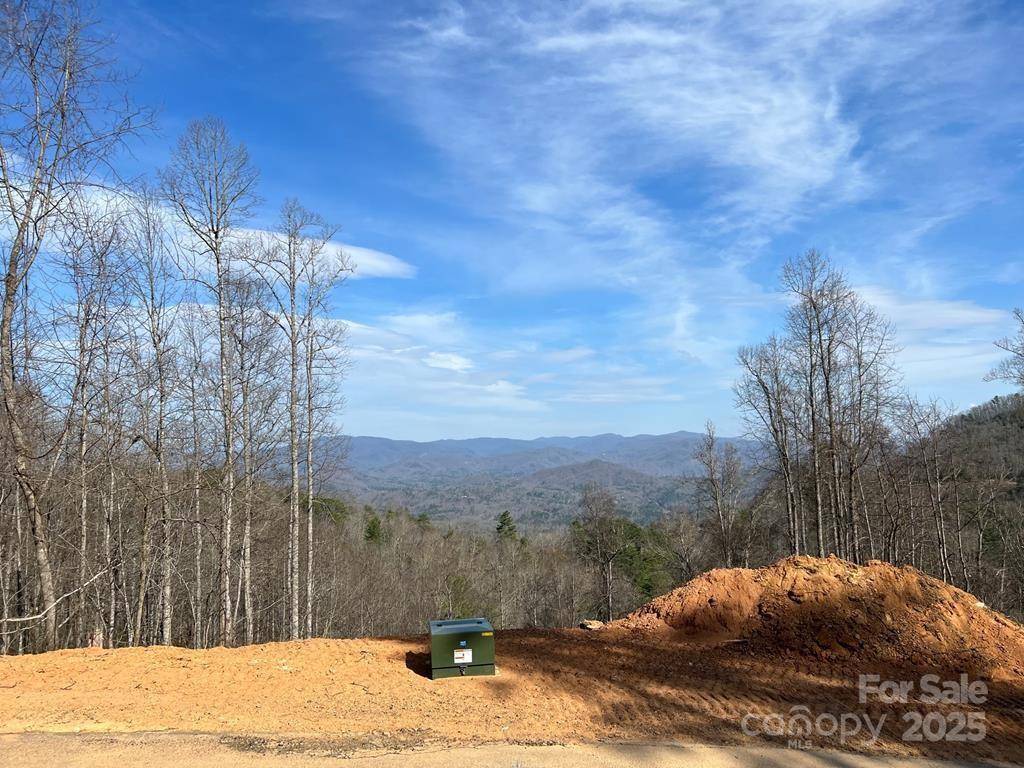44 Bee Gum RDG #44, Almond, NC 28702