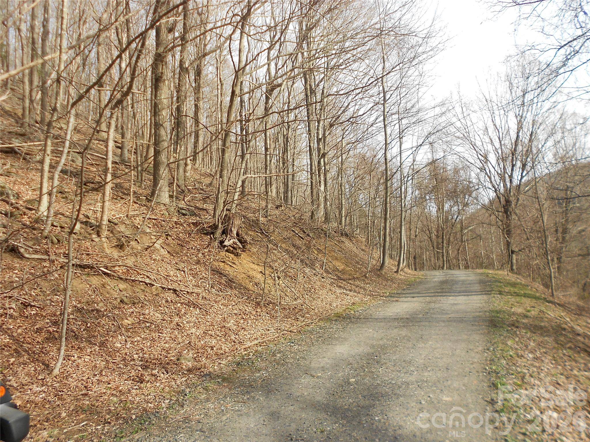 0000 Abbie TRL, West Jefferson, NC 28694