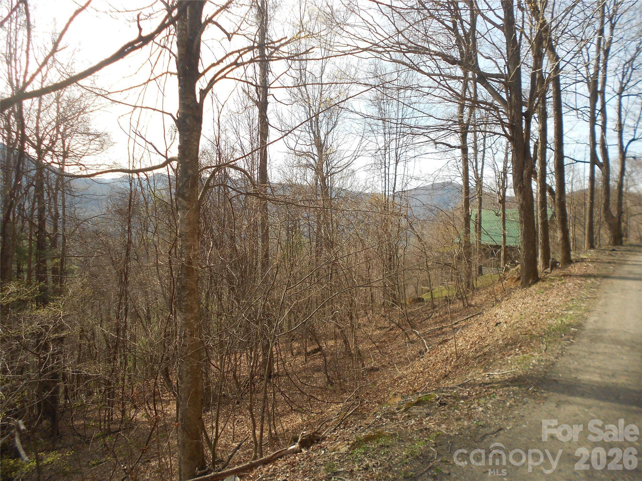 0000 Abbie TRL, West Jefferson, NC 28694