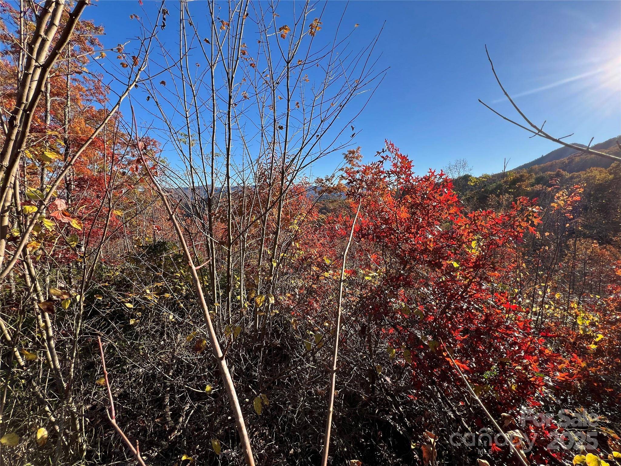 Lot 66 Musket DR, Almond, NC 28702