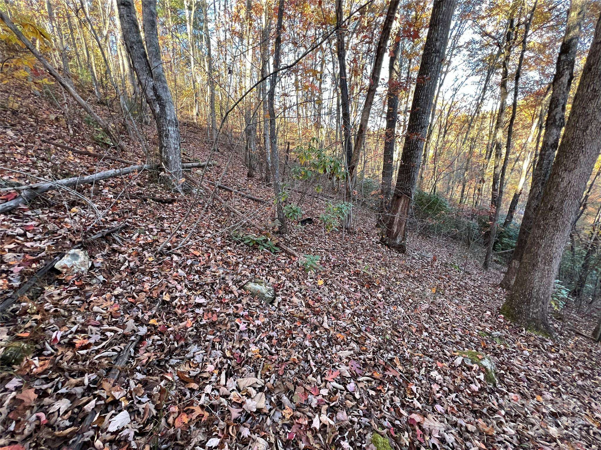 Lot 66 Musket DR, Almond, NC 28702