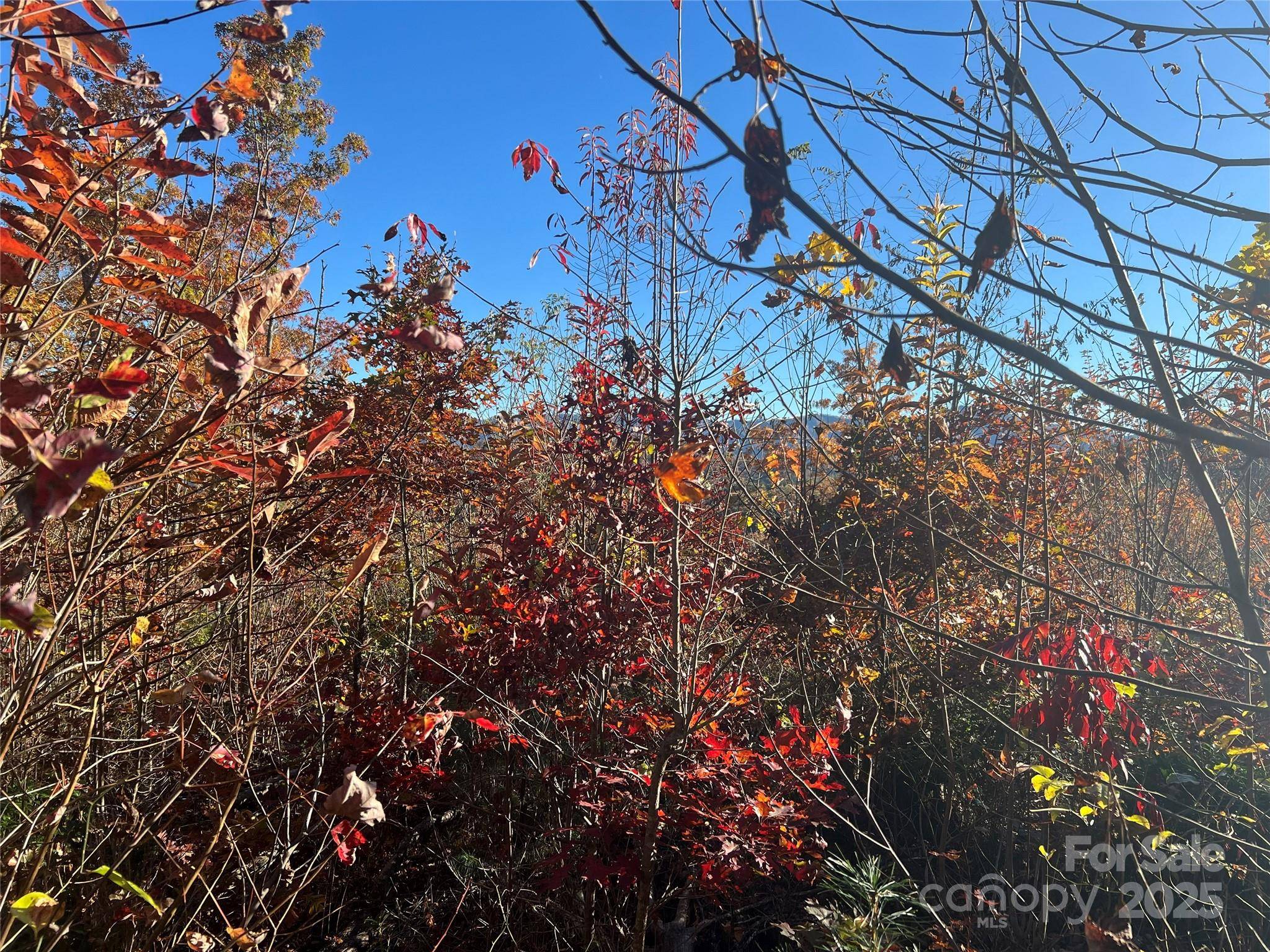 Lot 66 Musket DR, Almond, NC 28702