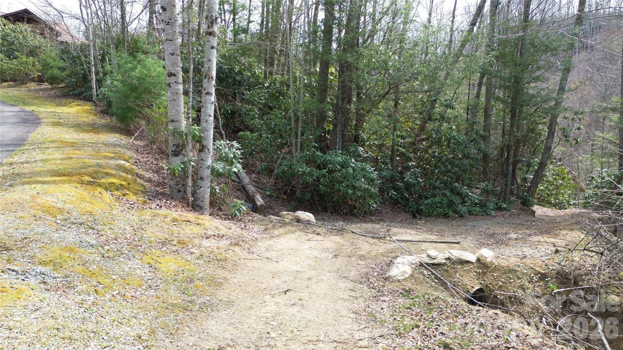 0000 Woodlake Loop RD, Elk Park, NC 28622