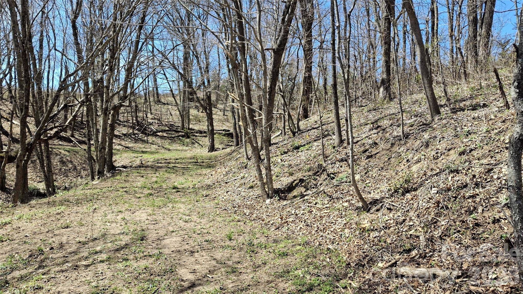 00 Big Ridge RD, Glenville, NC 28736